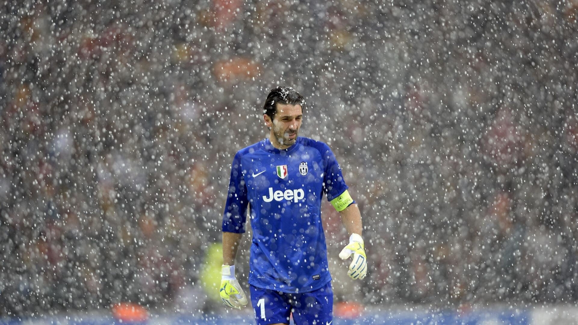 大卫·波波维奇100米自由泳技术细节解析，波波夫自由泳视频